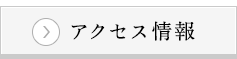 アクセス情報